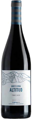 Andeluna Altitud Pinot Noir